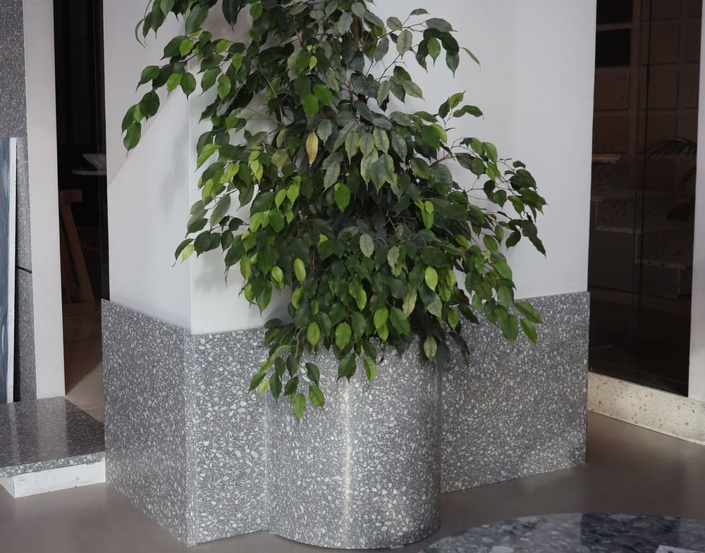 Projet carreaux terrazzo 5