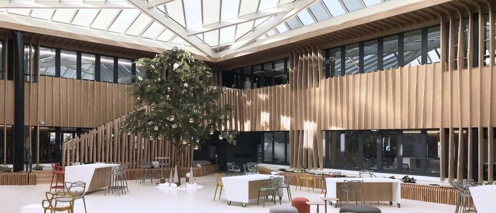 Projet siège bureaux terrazzo